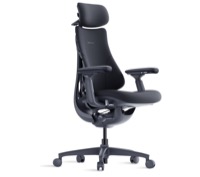 LiberNovo Omni Chair